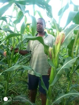 Crops Zimbabwe Feb 25 from 2025 February Newsletter.