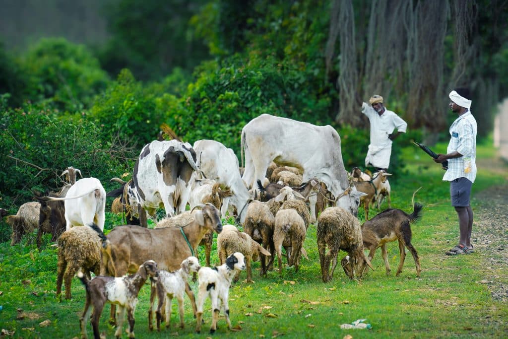 pranav ck wFS8GrQpjkw unsplash from 2025 December Newsletter.